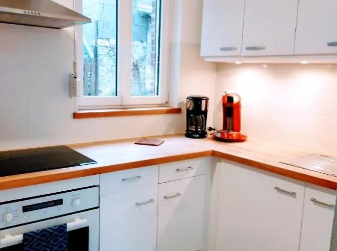 Appartement Cosy A Honfleur De 40 M² Avec Parking Prive 公寓 *