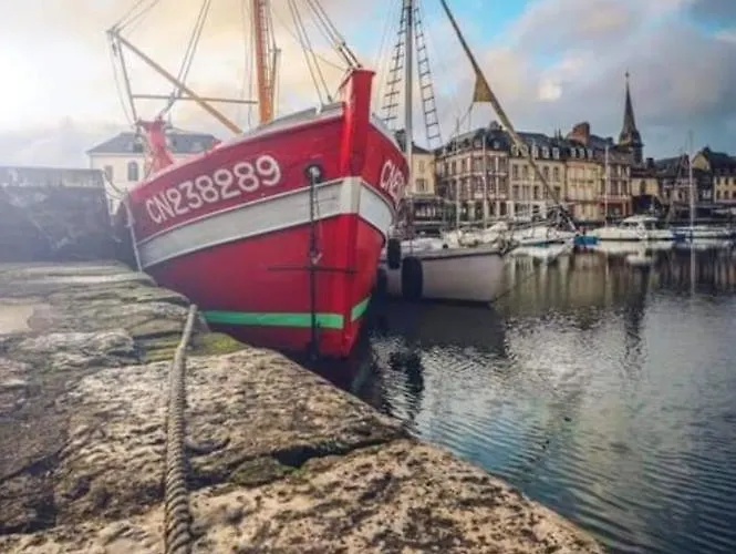 Appartement Cosy A Honfleur De 40 M² Avec Parking Prive 翁弗勒尔
